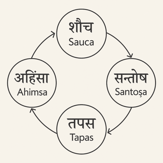 Sauca, Santoṣa, Tapas und Ahimsa – ein innerer Weg im Licht der Yoga-Sutras